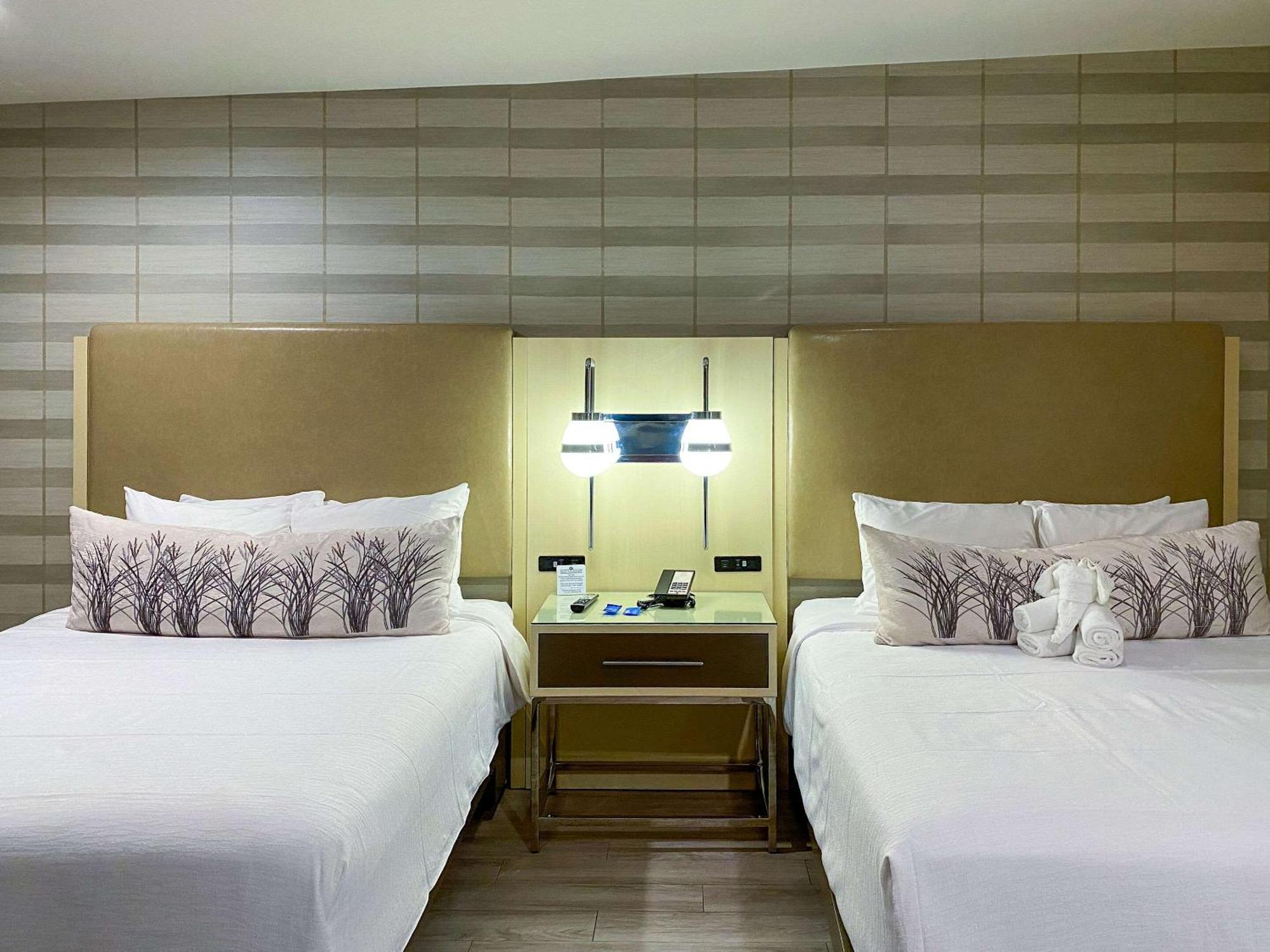 บลูสเตม โฮเต็ล ทอแรนซ์ - ลอสแองเจลิส แอน แอสเซนด์ โฮเต็ล เมมเบอร์ Hotel ทอร์แรนซ์ ภายนอก รูปภาพ
